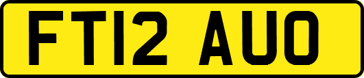FT12AUO