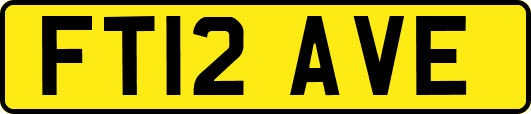 FT12AVE