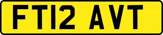 FT12AVT