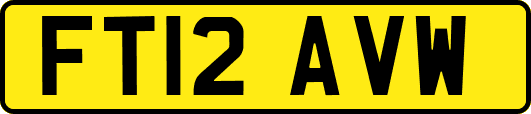 FT12AVW
