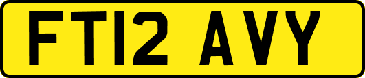FT12AVY