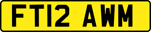FT12AWM