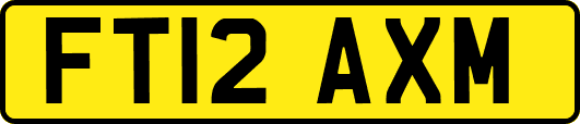 FT12AXM