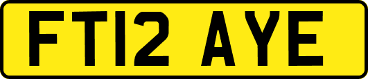 FT12AYE