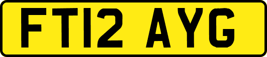 FT12AYG