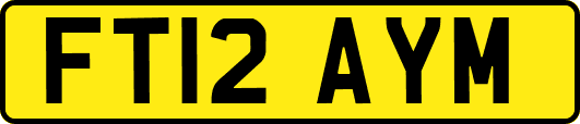 FT12AYM