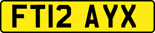FT12AYX
