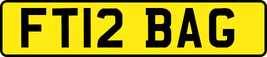 FT12BAG