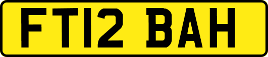 FT12BAH