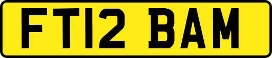 FT12BAM