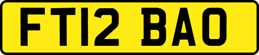 FT12BAO
