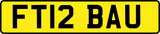 FT12BAU