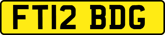 FT12BDG