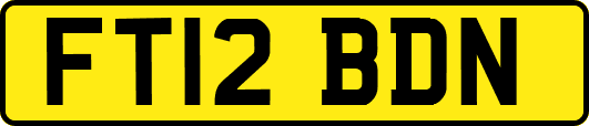 FT12BDN