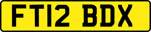FT12BDX
