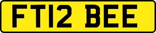 FT12BEE