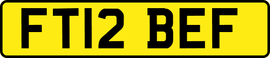 FT12BEF
