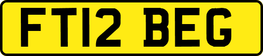 FT12BEG