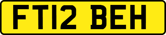 FT12BEH