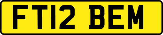FT12BEM