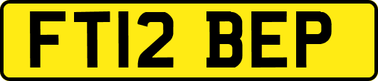 FT12BEP