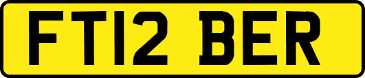 FT12BER