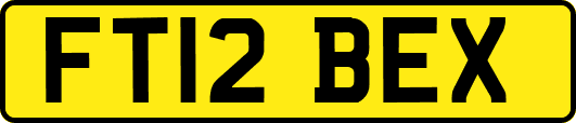 FT12BEX