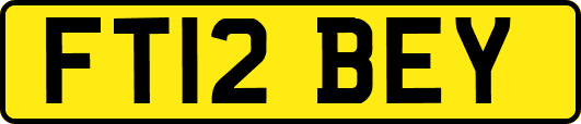 FT12BEY