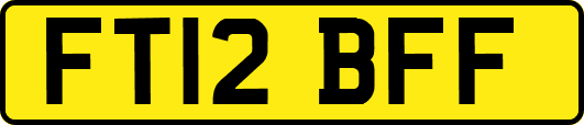FT12BFF
