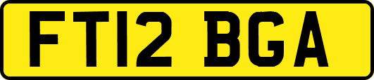 FT12BGA