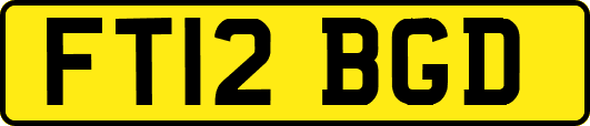 FT12BGD