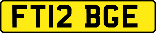 FT12BGE