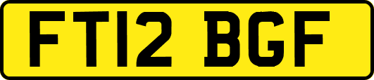 FT12BGF