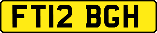 FT12BGH