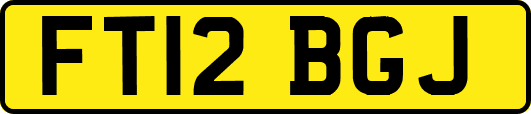 FT12BGJ
