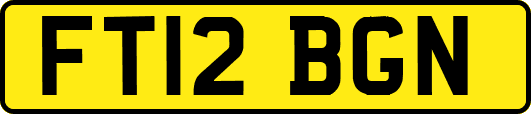 FT12BGN
