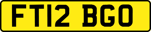 FT12BGO