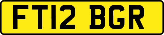 FT12BGR