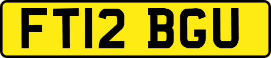 FT12BGU