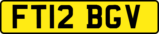 FT12BGV