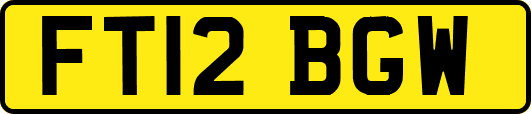 FT12BGW