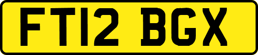 FT12BGX