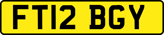 FT12BGY