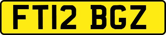 FT12BGZ