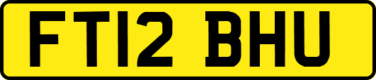 FT12BHU