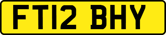 FT12BHY