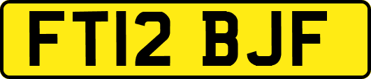 FT12BJF