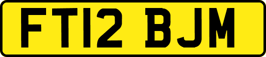 FT12BJM