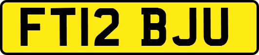 FT12BJU