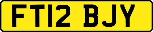 FT12BJY